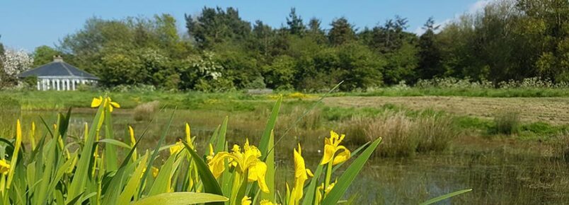 Beeston Common, near Sea Glass
